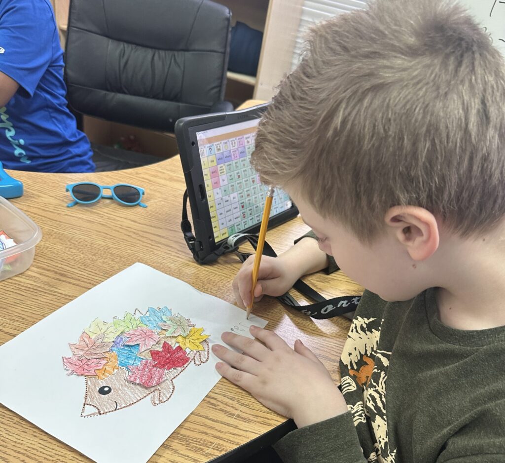 elaines student drawing porcupine art